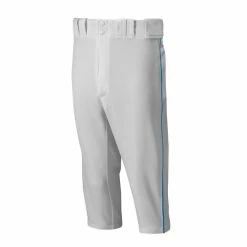 Best Sale 👍 Brand new 🌟 Mizuno Premier Short Piped Youth ⚾ ⚾ Baseball Pants 🔔 🎁 -Adidas Sales Store unnamed file 841